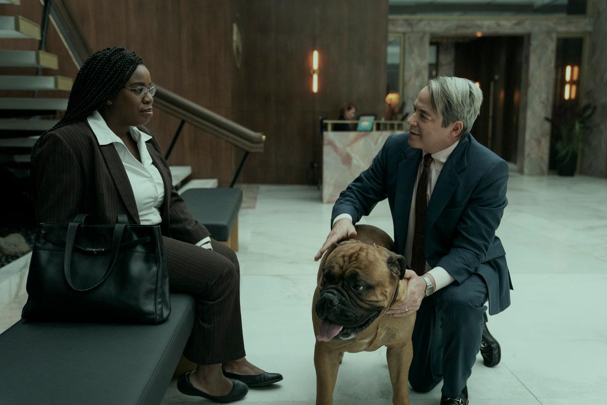 Valium chien prix