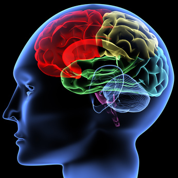 coût du sertraline