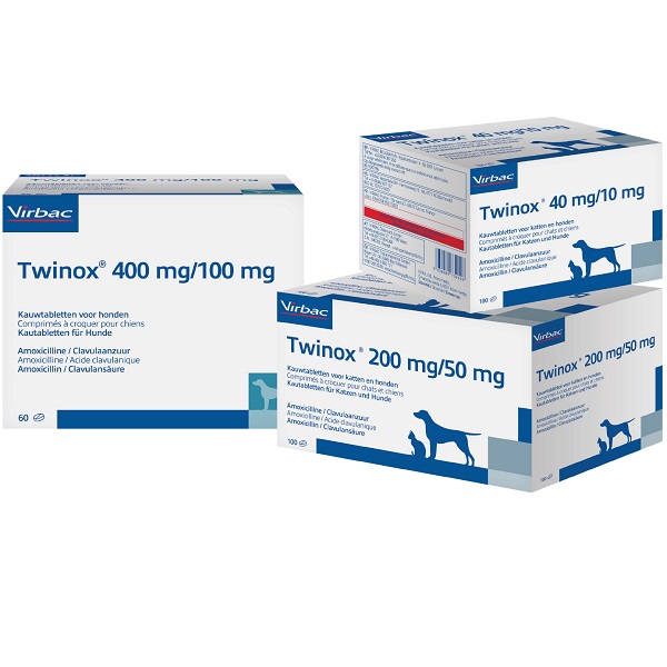 acheter amoxicilline en ligne