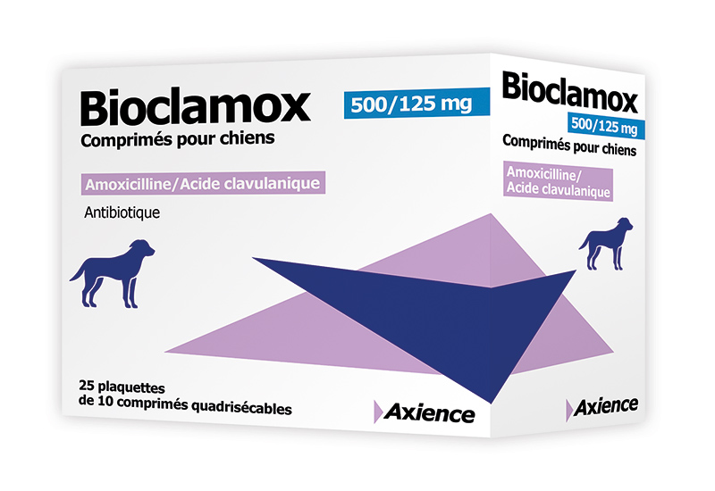 Acheter Amoxicilline En France