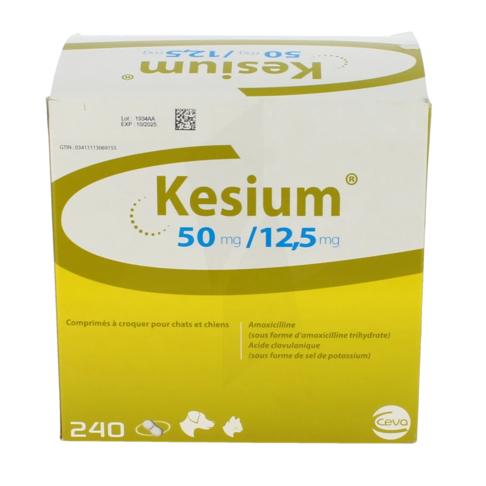 acheter amoxicilline pour chat