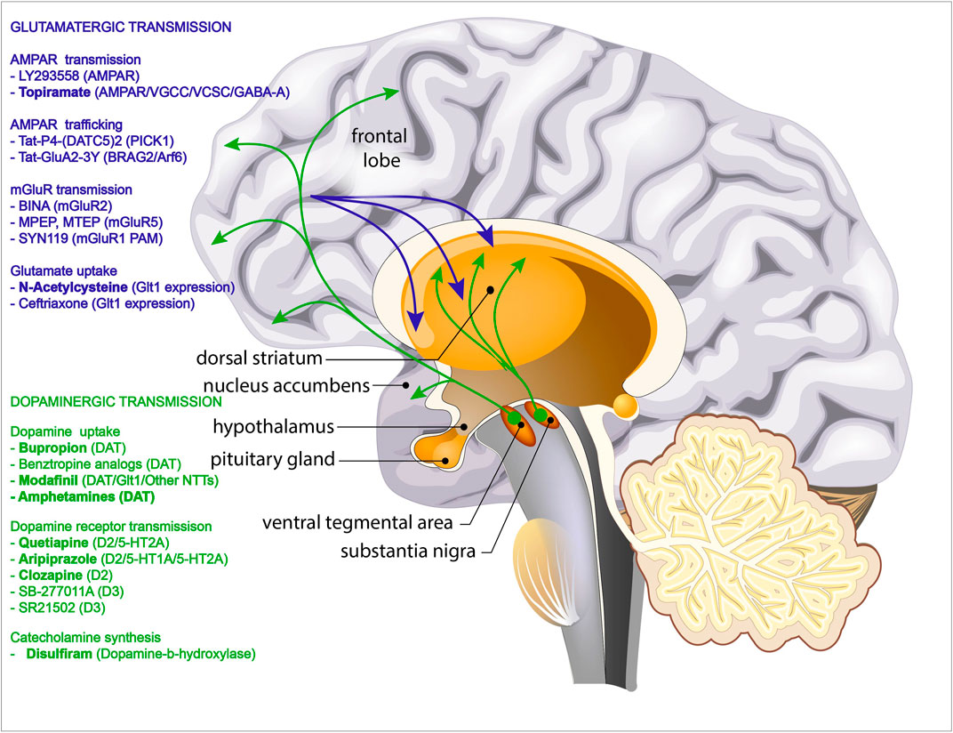 Acheter modafinil europe