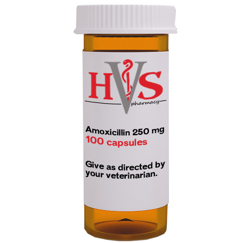 Amoxicillin Générique