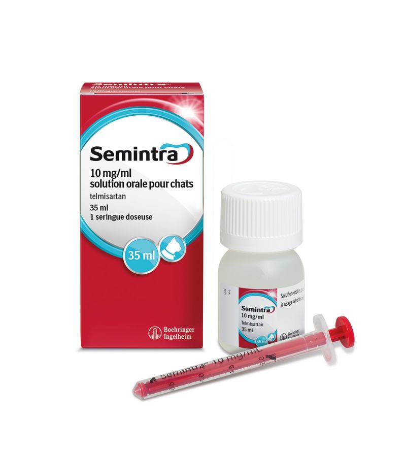 Amoxicilline chat achat