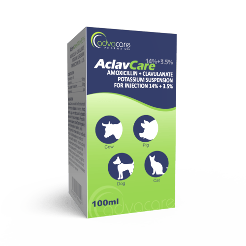 Amoxicilline chat prix