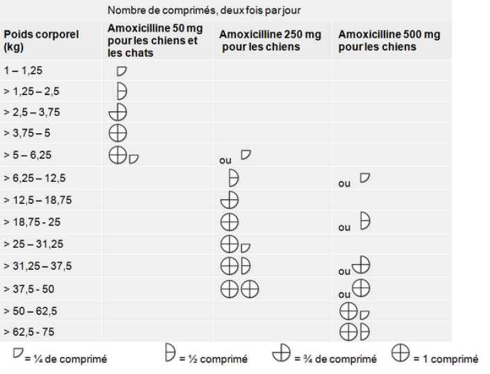 Amoxicilline Pour Chat Prix