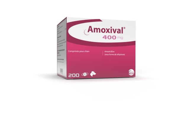 amoxicilline pour chien prix