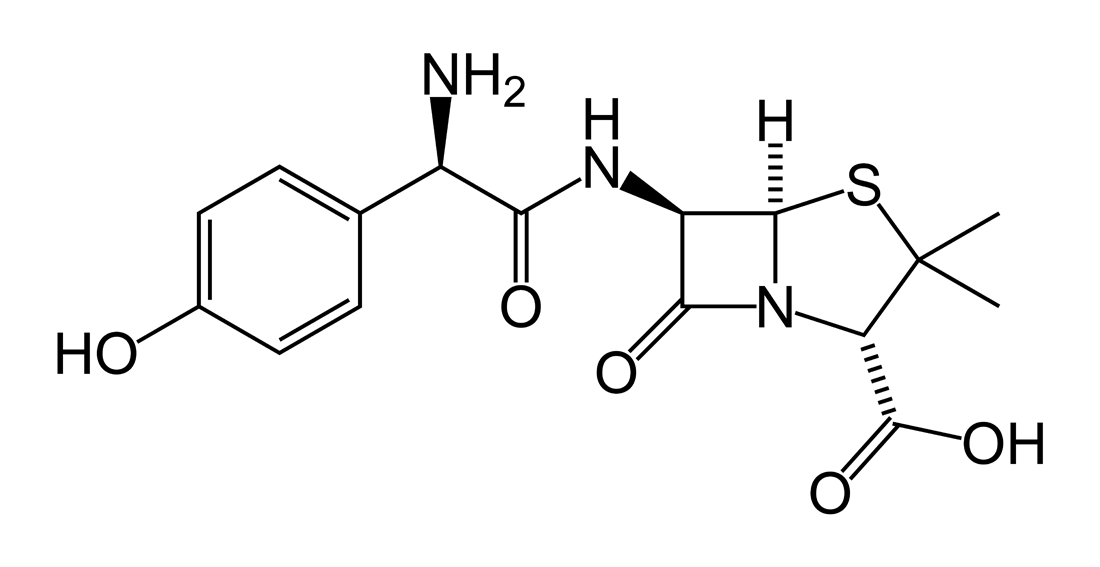 Amoxicilline zydus france 1g