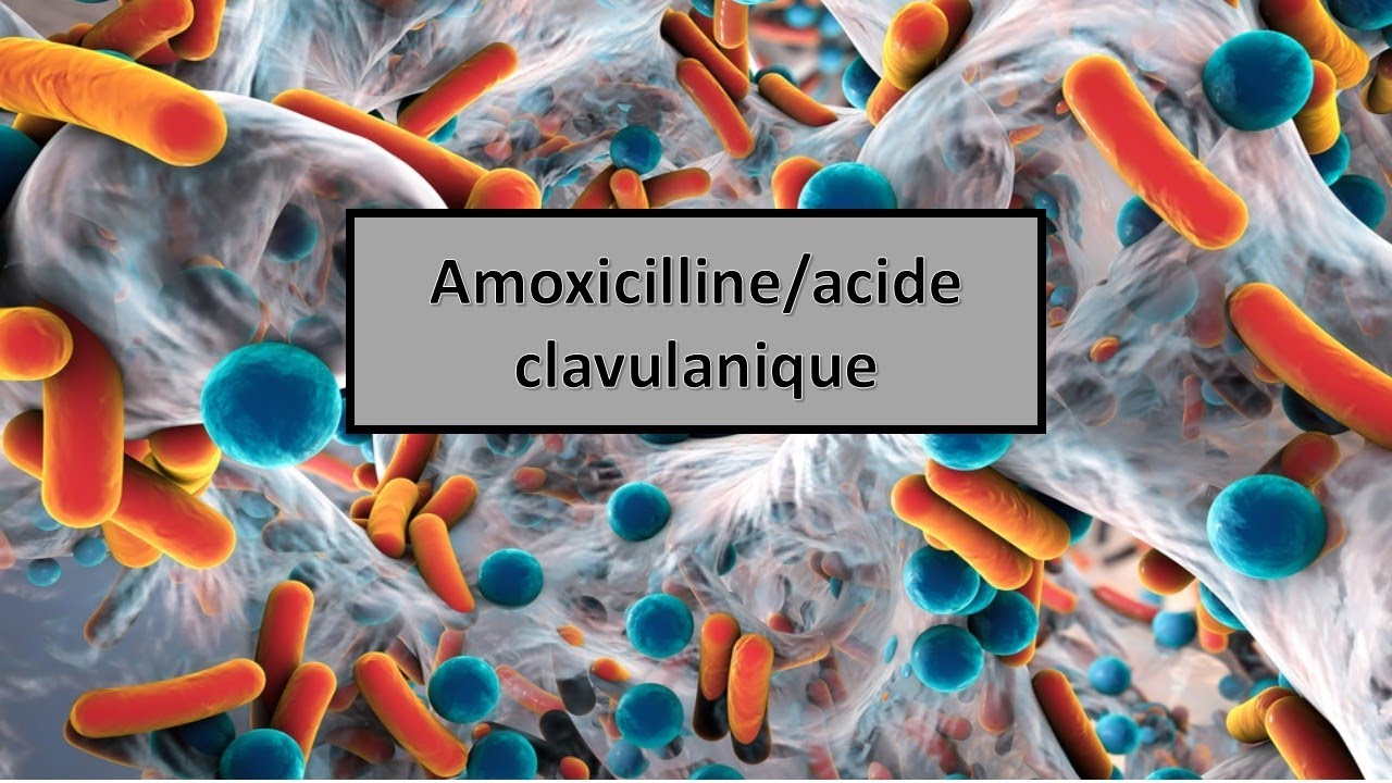 augmentin generique amoxicilline