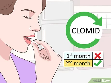 Clomid Apres Pilule