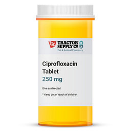 ciprofloxacin usp 250 mg