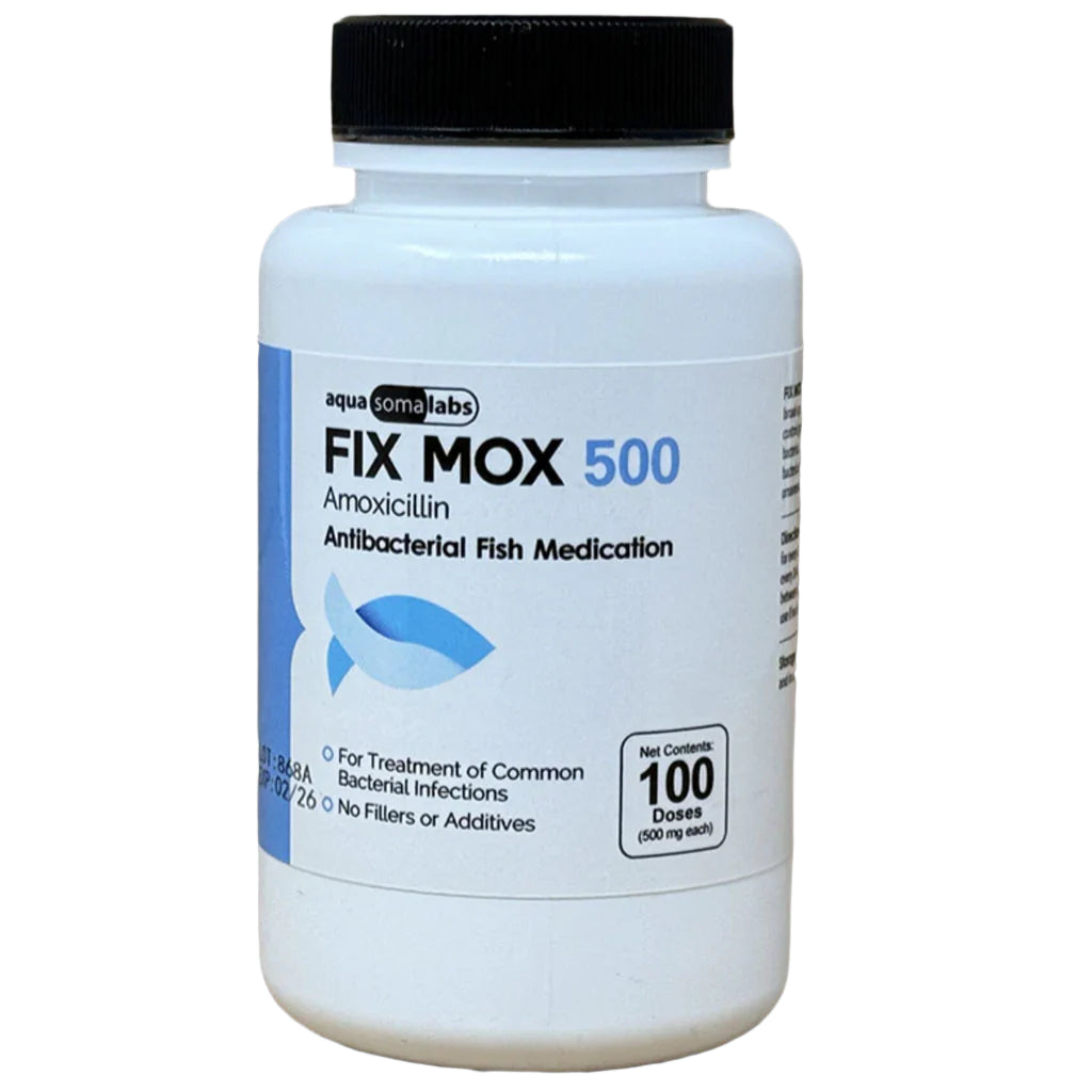 Amoxicillin france over the counter
