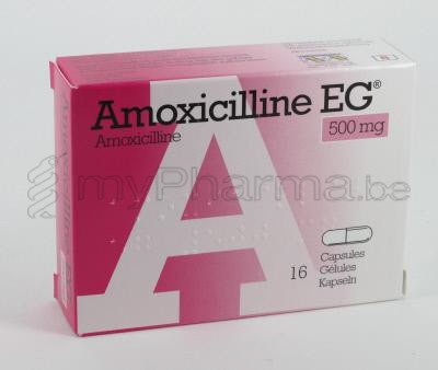 Prix Amoxicilline 1 G