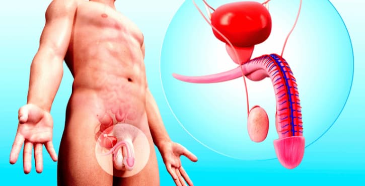 Cialis 20mg En Francais