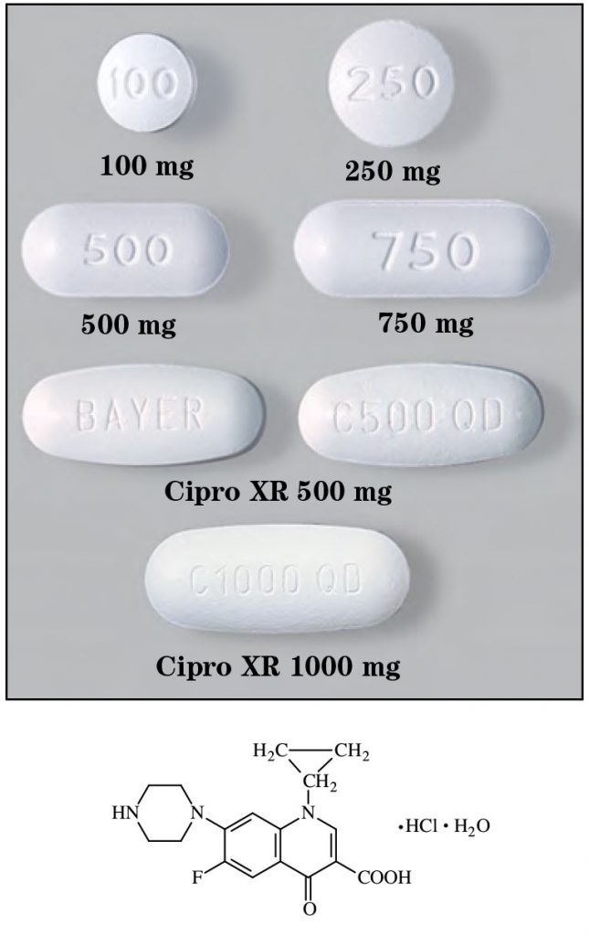 cipro 500 mg qd