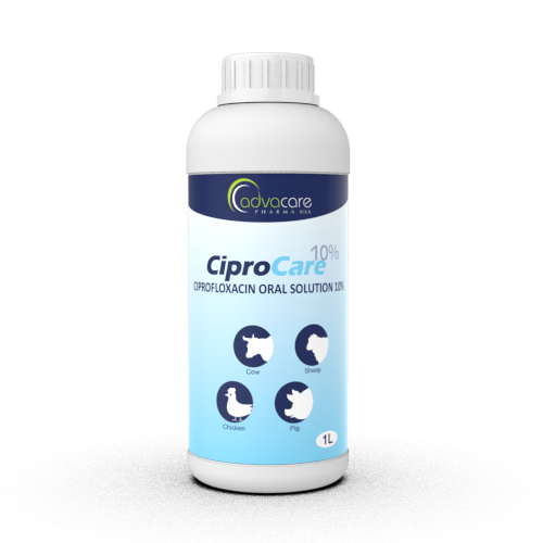 Ciprofloxacin achat