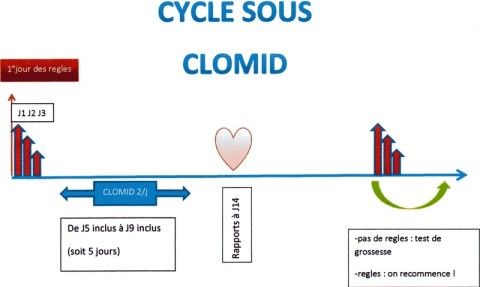 Clomid en ligne