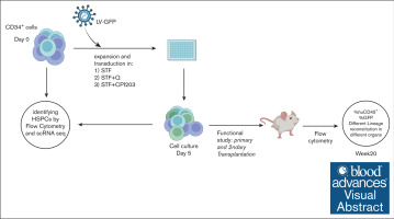 commander ciprofloxacin