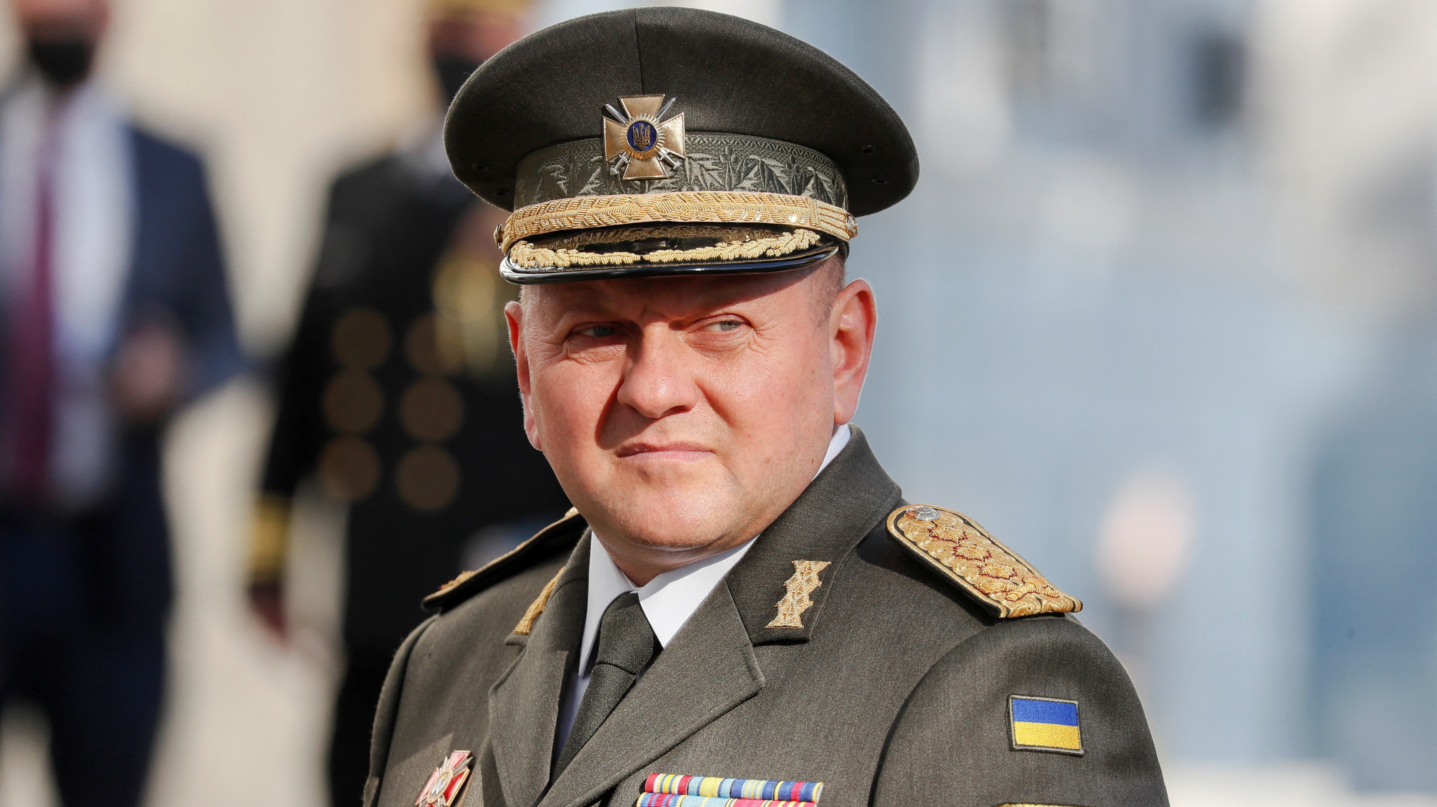 commander zaleplon
