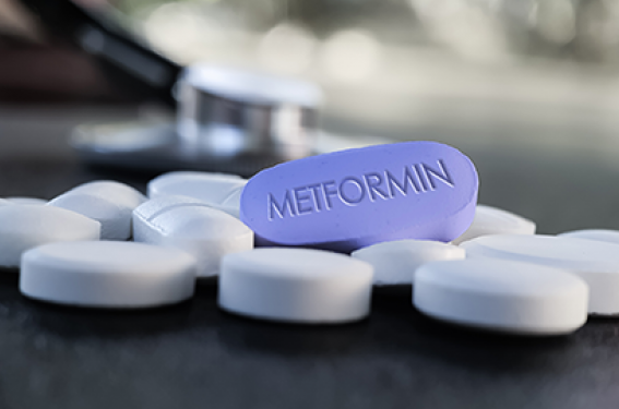 Coût Du Metformin