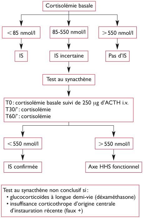 prednisolone 20mg en ligne