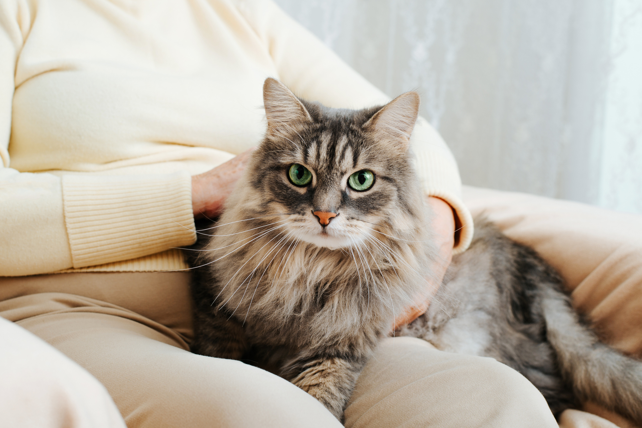 Doxycycline chat prix
