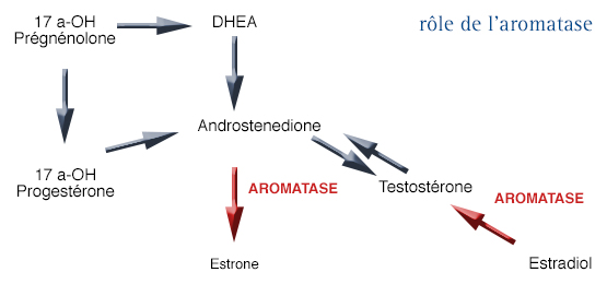 Tamoxifène Générique Ou Pas