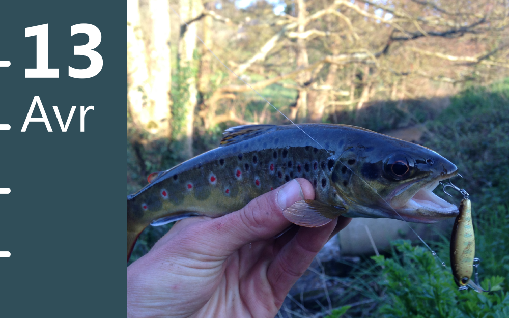 Commander Levitra France