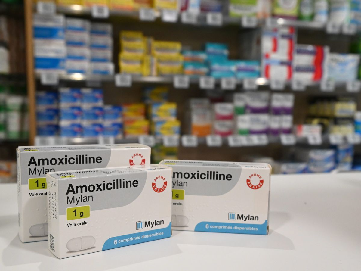 commander du amoxicillin