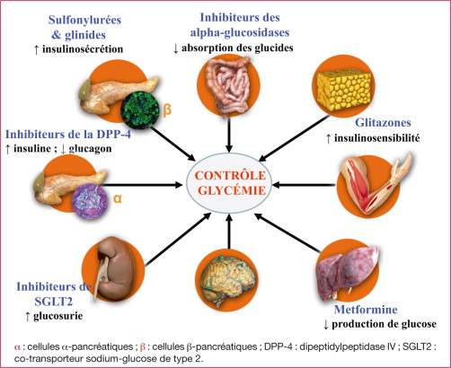 Glucophage pas cher