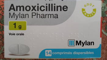 Générique Amoxicilline 1g