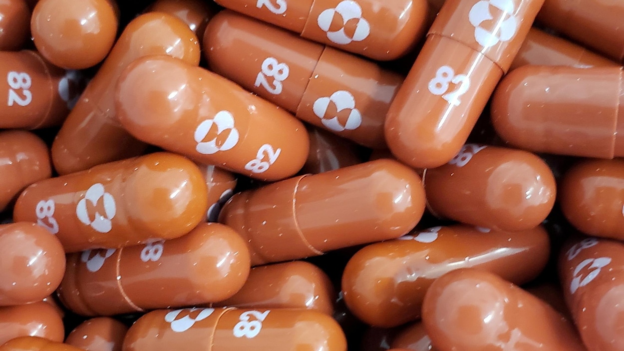 Ivermectine Le Moins Cher