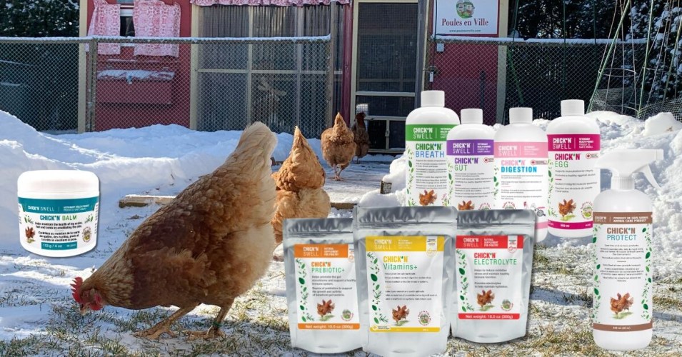 Ivermectine oiseaux achat