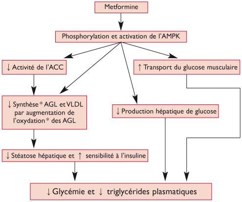 Metformine moins cher