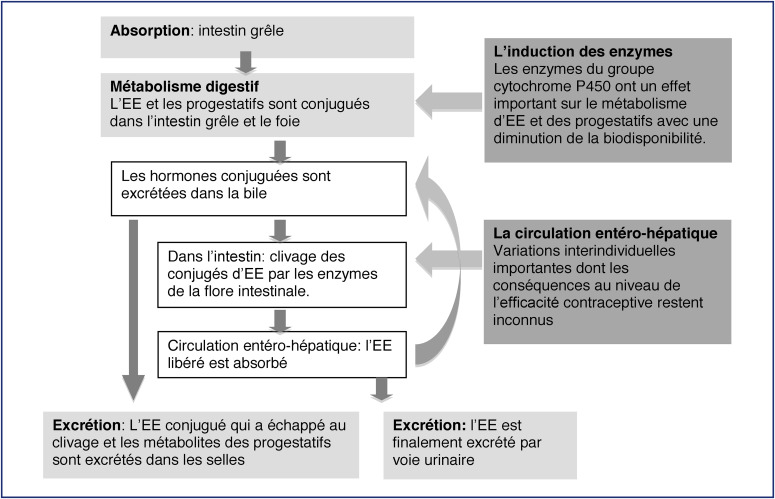 oestrogènes conjugués pilules