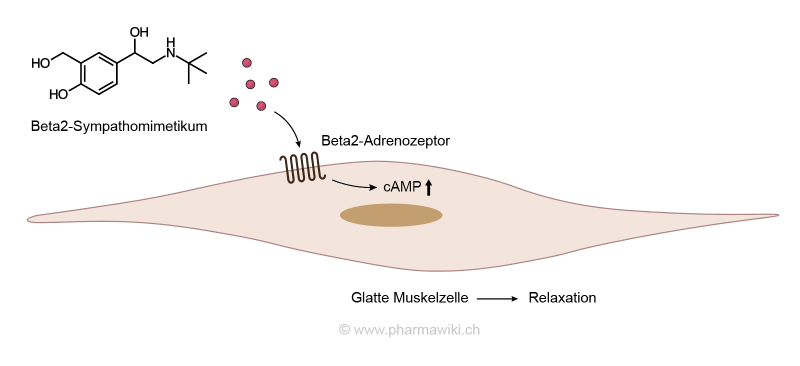 Ordre salbutamol