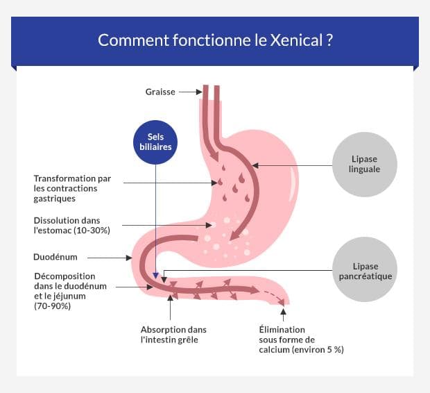 Orlistat Vente En Ligne