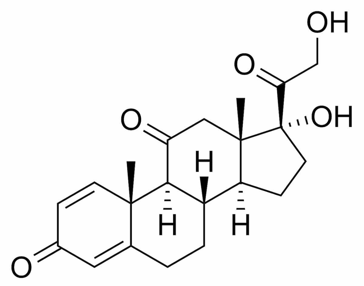 Prednisolone 20 mg en ligne