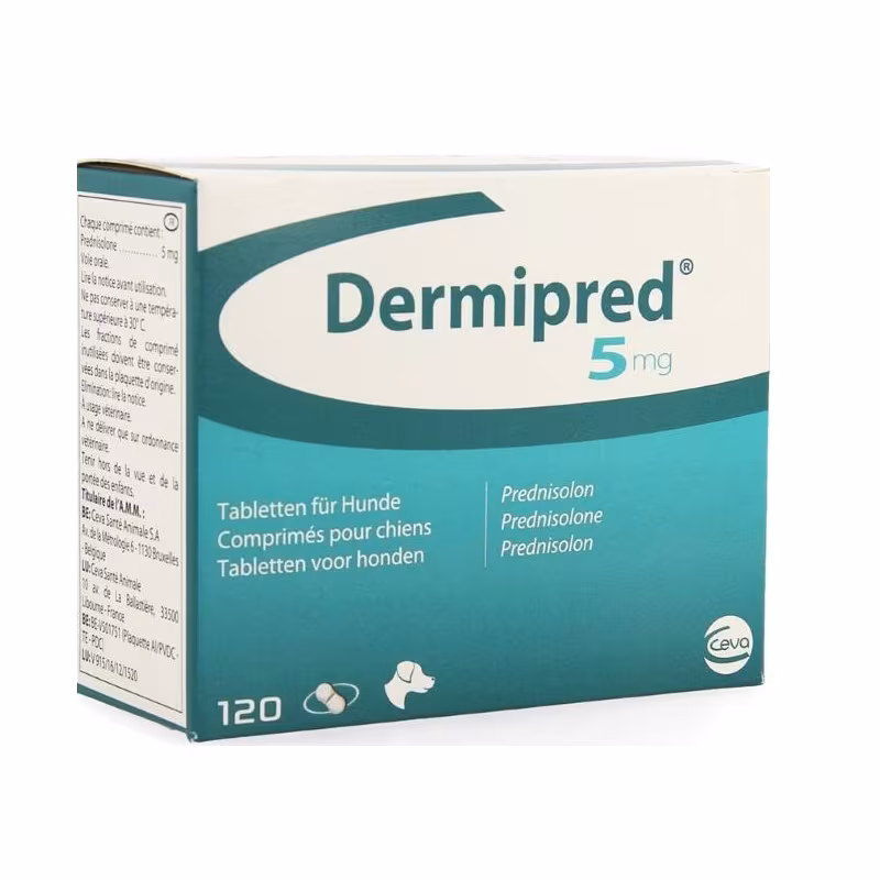 Prednisolone Achat France