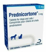 Prednisolone Chien Prix