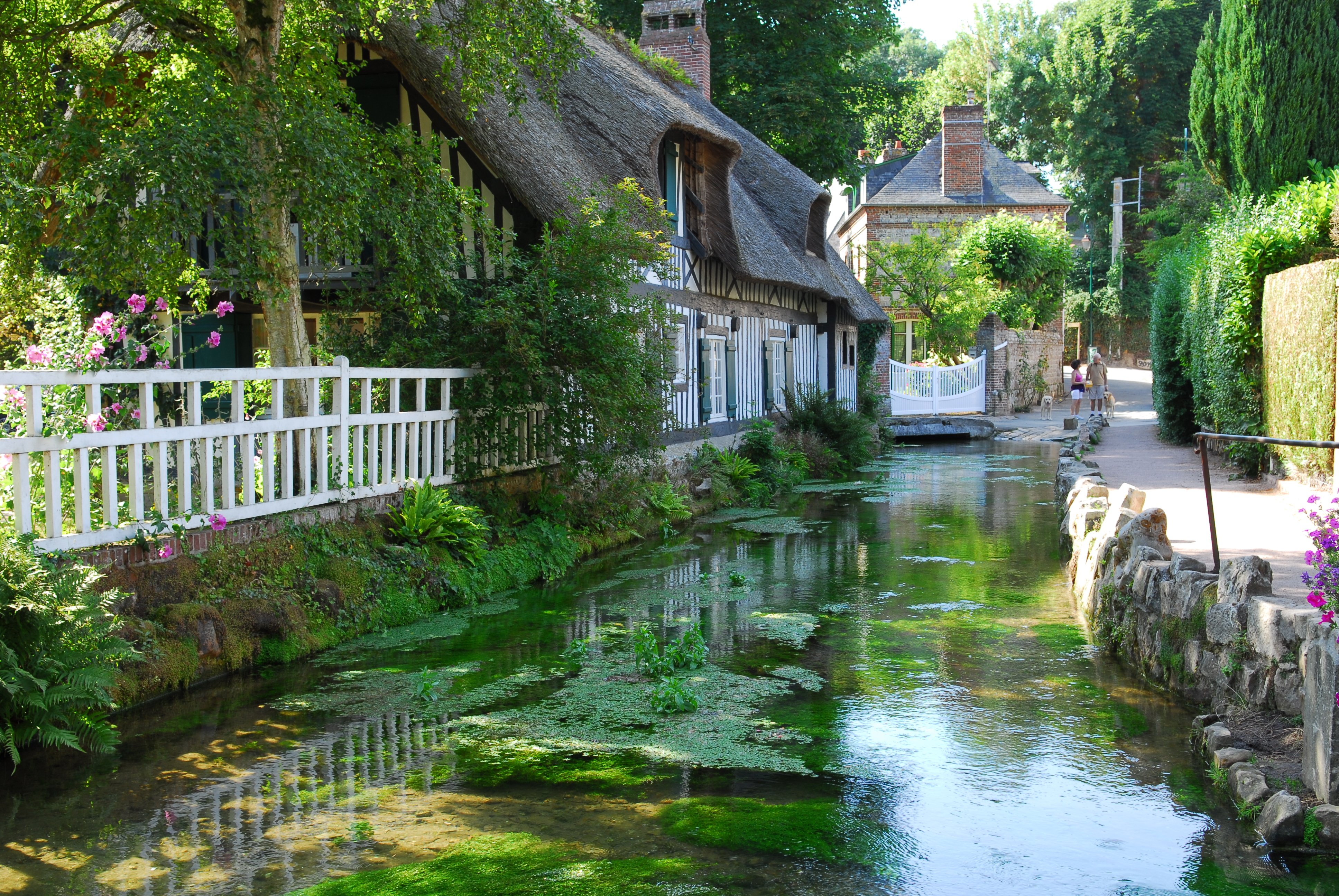 Premarin france