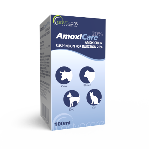 Prix Amoxicillin