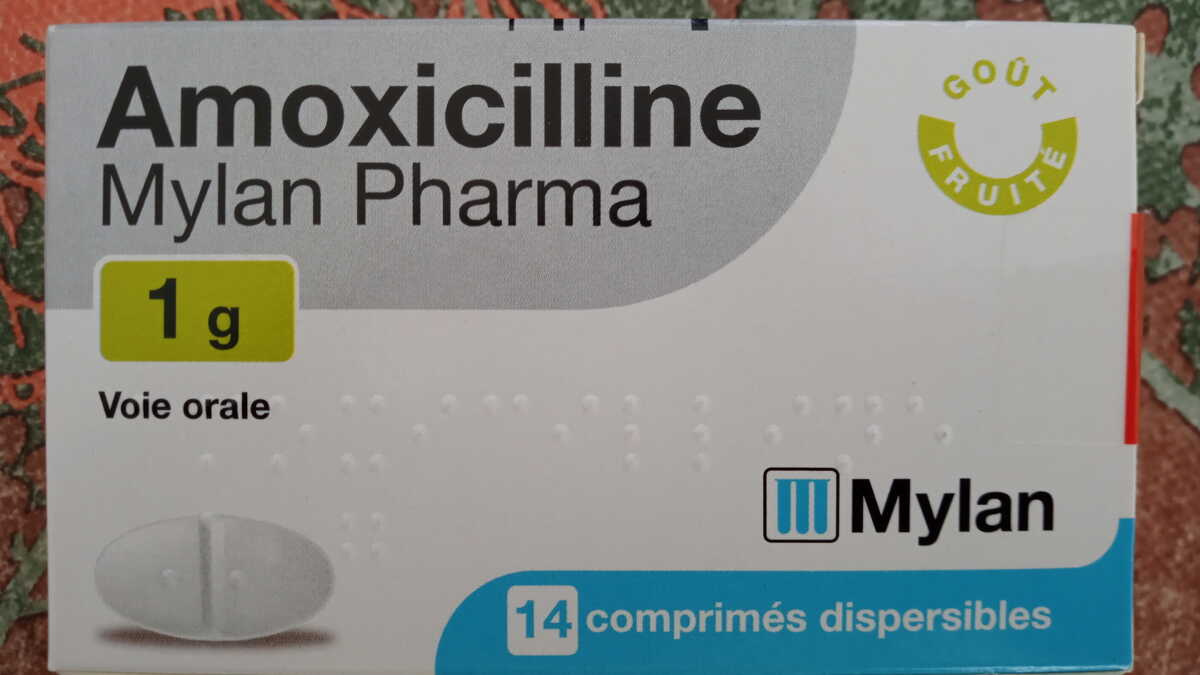 prix amoxicilline 1g