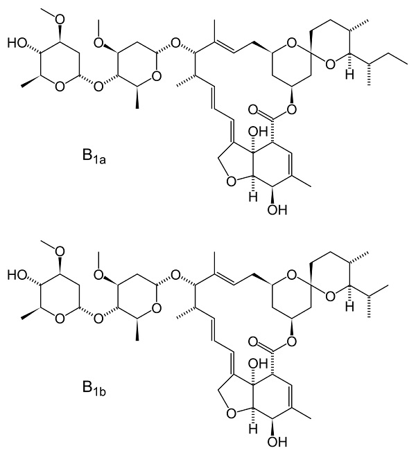 Prix du ivermectin