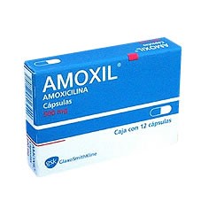 prix du médicament amoxicilline