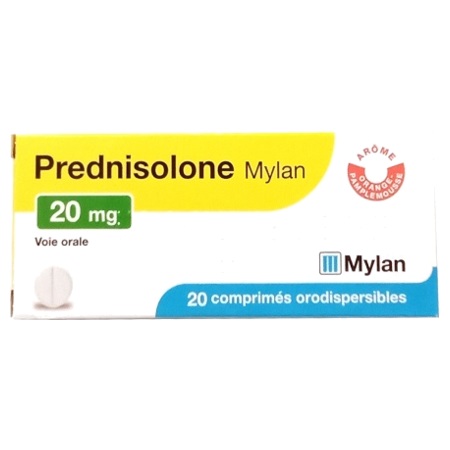 prix du prednisolone 20 mg