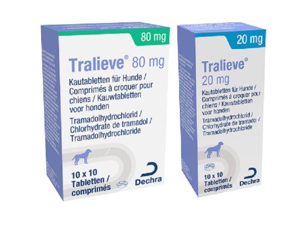 Prix tramadol 100 mg