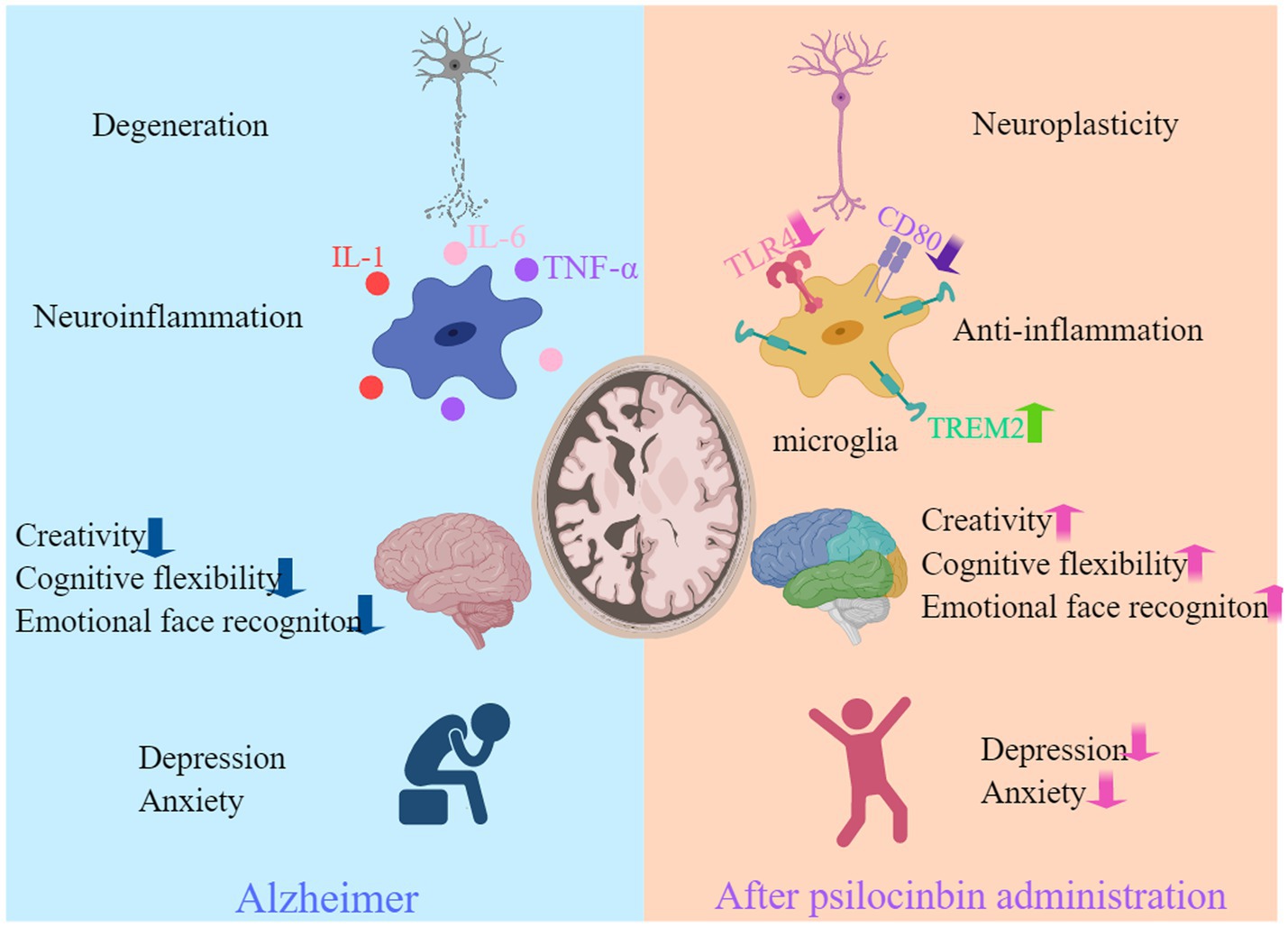 sertraline 25 mg avis