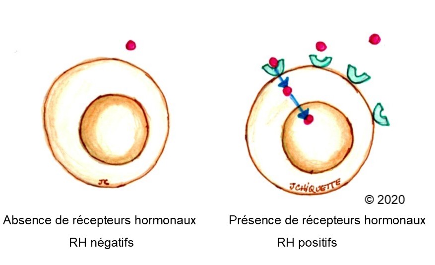 Tamoxifène sans ordonnance