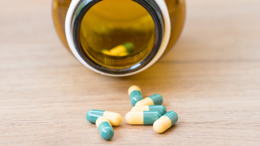 Tramadol Chien Prix